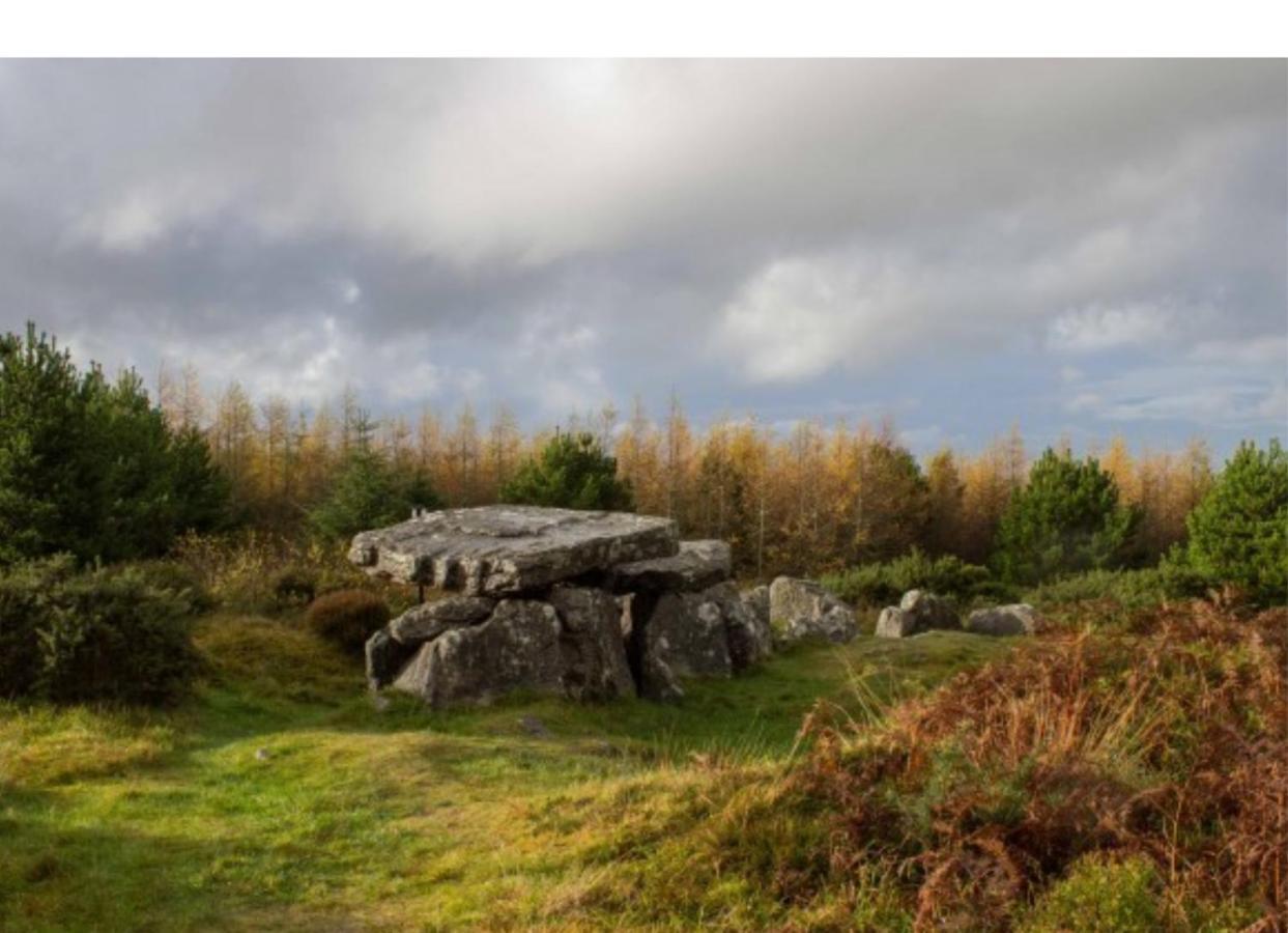 Corderry Farmhouse, Idyllic Cottage Amid 250 Acres Lisvernane Dış mekan fotoğraf